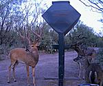 MY RANCH IN MEXICO