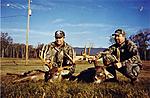 Whitetails