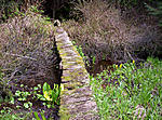 Alaska bridge