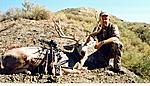 2009 Archery buck.4