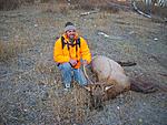 This is my dad's 2009 spike bull.  We had to sort through a lot of elk that morning to pick this guy out.  This was a spike only hunt and we had to...
