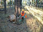 This is my 2009 spike bull.  We went into an area that historically held elk.  There was lots of sign but no elk to be found.  I let out a lost cow...