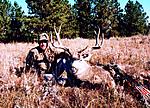 2007 5x5 Archery buck 28 1/2"