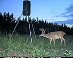 I shot this buck on Nov. 2nd 2006