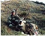 2006 East River 5x5 archery buck. pic 5