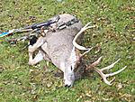 BK archery buck '09.9