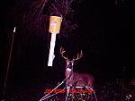 Game camera and feeder