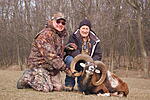 Mouflon in Slovakia