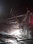 6 point killed 06