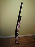 My baby. 20 gauge, Pump Action. Remington 870 Compact Express Pink Mossy Oak Edition