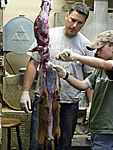 My bro skinning the marmot with our taxidermist.