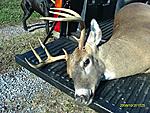 8 pointer i shot opening day of muzzeloading here in NC, date of harvest was November 6, 2010 the date in the photo is wrong my mother hasnt set the...