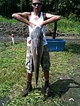 50 pound catfish
