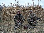 goose hunting 2010-2011