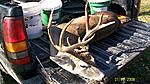 2010 deer -bow - 13 point