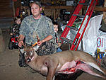 8 pt, my biggest with a bow and first deer with a bow while hunting off the ground.