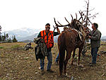 elk packing