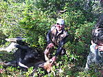 Newfoundland 2011 Clydes moose as it fell, packed this out 300 yards in quarters.
