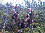 2011-09-30 Jeffs 9pt Newfoundland
