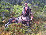 2011-10-01 Newfoundland 10pt . The 3 of us shot 3 moose in 4 days of hunting.