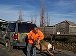 138 inch 8 pointer peabody wma november 2011