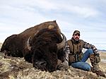 Bison Bull Hunts with High Plains Adventures