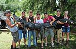 Florida gator kill