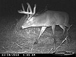 Trail Cam Pics