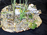 Gaboon Viper