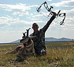 Wyoming Antlelope