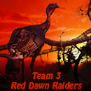 Team 3 - Red Dawn Raiders Avatar