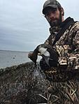 Me and a Hen Hooded Merganser