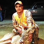 13 Point Whitetail Fort Hood Texas