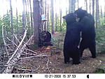 game camera 047