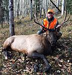 2014 Bull Elk.  Taken in Colorado's GMU 66 from 75 yards.