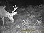 game camera 2014 086