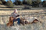 Bull Elk 
With Zoe, my Golden Retriever 
DIY, SW Montana 
.300 Weatherby, 168 gr Barnes TTSX