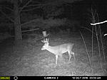 2015 Game/Hunt Pics