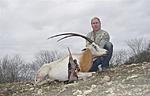 Scimitar Horned Oryx 
West Texas 
.300 Weatherby, 168 gr Barnes TSX