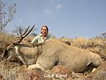 Cape Eland 
.375 Rem Ultra Mag, 270 gr Barnes TSX