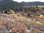 Colorado Hunting