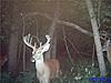 smack talk for fun thread......-buck7.jpg