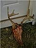 Team 22 &quot;Tree Stand Slaughter House&quot;-bbd1.jpg