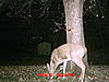 Team 6 Thread-mdgc0013.jpg