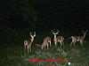 Official Team 1 &quot;Rack Attack&quot;-mdgc0643.jpg