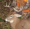 First Deer-my8pointer.jpg