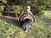 Team 9 - Last Call-eli-s-merriams-turkey-hunt-042.jpg