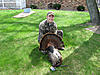 2010 Spring Contest Braggin Board = Post story &amp; Pictures-turkey-pic.jpg