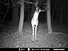 Team 13 check in thread "Natural Bone Killers"-mdgc0011.jpg
