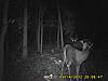 Team 4 Buck Dynasty-pict0022-2-.jpg